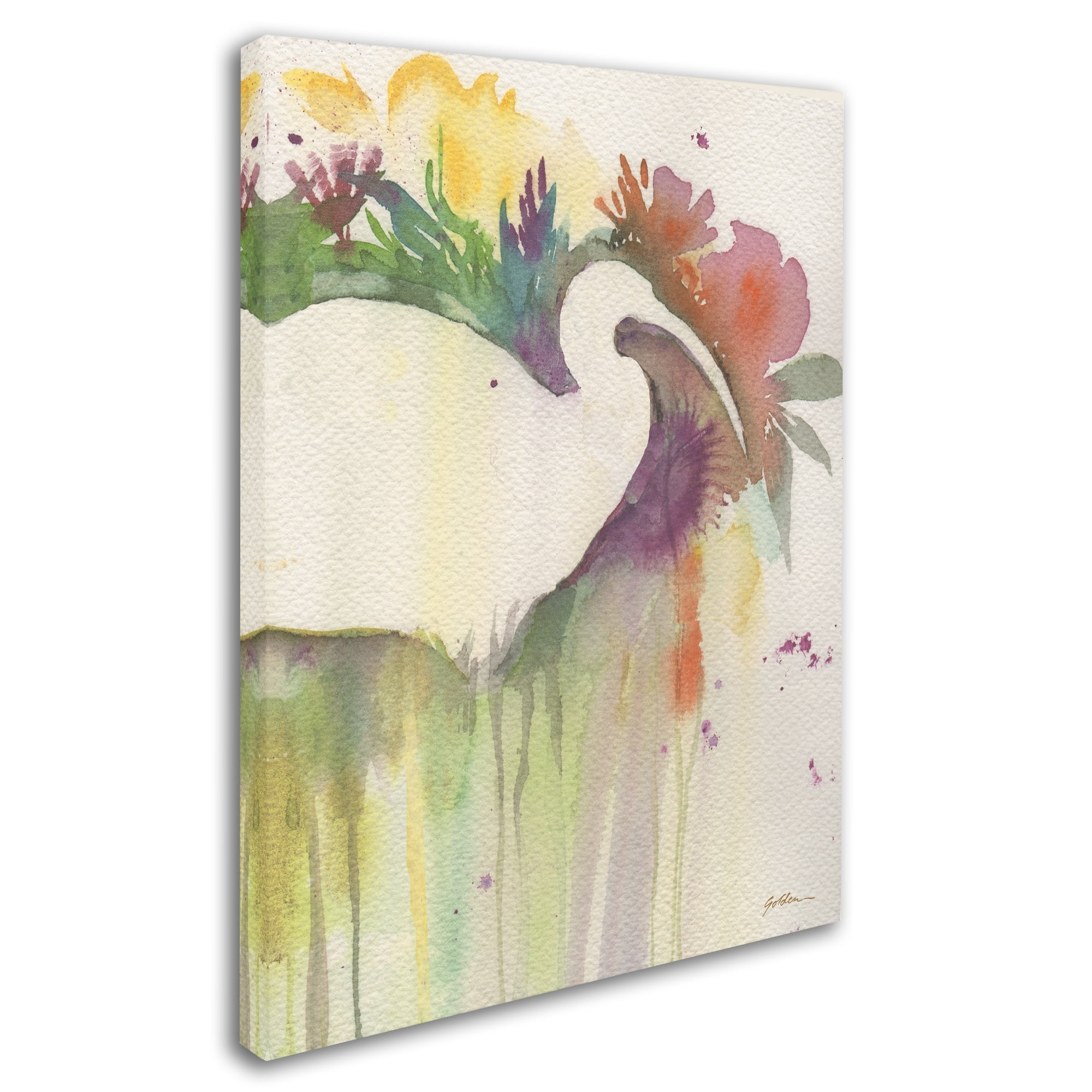 Trademark Fine Art 'Ibis Dream' Canvas Art by Sheila Golden