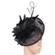thumbnail image 1 of Fascinator Hat Feather Party Pillbox Sombrero Flor Derby Sombrero para Mujer , Estilo 9 Soledad Diadema para mujer, 1 of 3