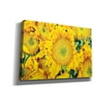 thumbnail image 2 of Epic Graffiti 'Sunflower Summer' by Donnie Quillen, Giclee Canvas Wall Art, 26"x18", 2 of 2