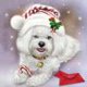 thumbnail image 1 of Kit de dibujo de taladro redondo completo hecho a mano para perro Snowland 5D DIY, pintura artesanal de diamante Likrtyny Arte deco, 1 of 8