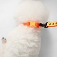 thumbnail image 2 of THE LICKER STORE Luna Small 8FT Adjustable 6-in-1 Waterproof Hands-Free Leash and Collar with LED Flashlight, Bag Dispenser, and Poop Bag Holder, Dark Orange/Light Orange, WLK1004A-5SET, 2 of 7