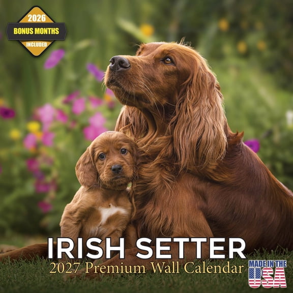 MegaCalendars 2026-2027 Irish Setter Wall Calendar, 12x12 Bonus Month Monthly Planner, Made in USA