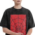 thumbnail image 3 of Spider-Man Men's Vintage Washed Drop Shoulder Short Sleeve T-Shirt, 3 of 7