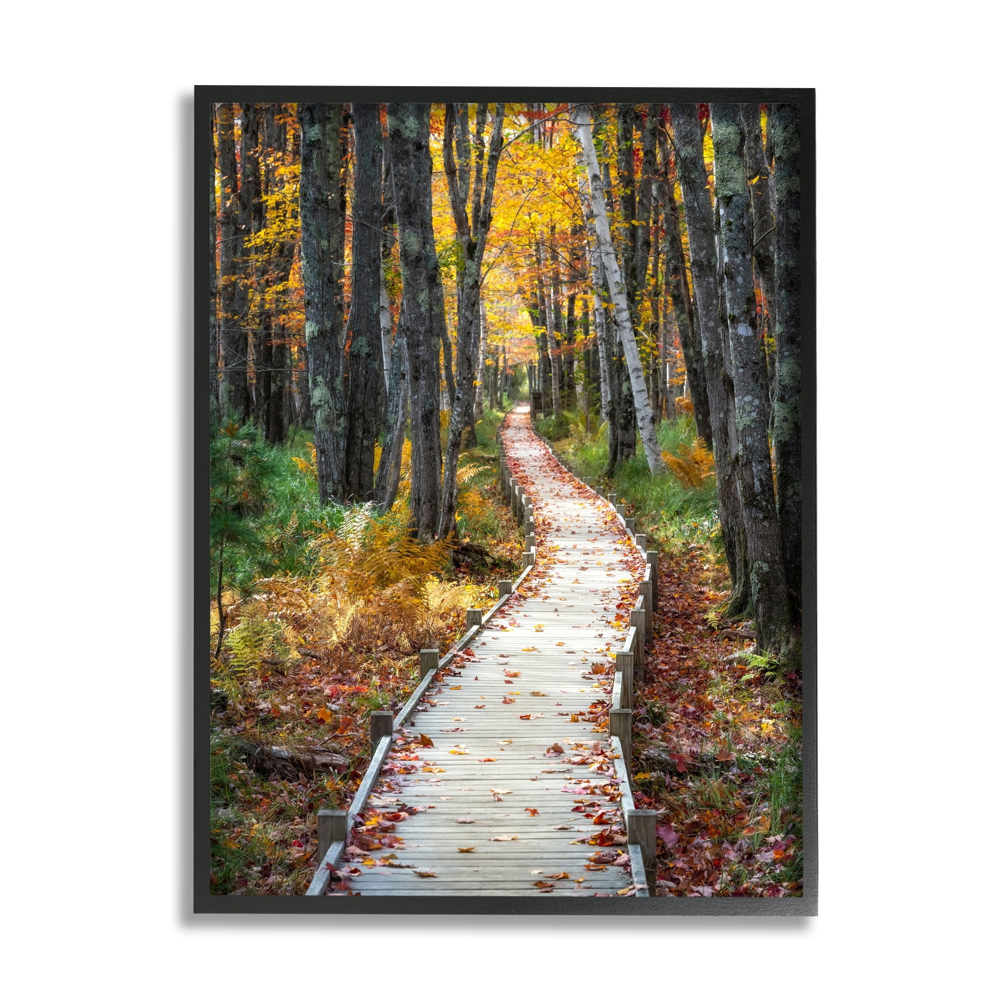 Stupell Industries Nature Path Autumn Foliage Landscape Photography Gray Framed Art Print Wall Art