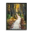 thumbnail image 2 of Stupell Industries Nature Path Autumn Foliage Landscape Photography Gray Framed Art Print Wall Art, 2 of 5