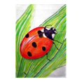 thumbnail image 1 of Betsy Drake FL457G Drapeau de Coccinelle - 28 x 40 Po., 1 of 1