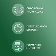 Dr. Mercola Fermented Chlorella - Supports Normal Detox & Cellular Energy - With Chlorophyll & Trace Minerals - Vegan - Non-GMO - 1 g - 450 Tablets