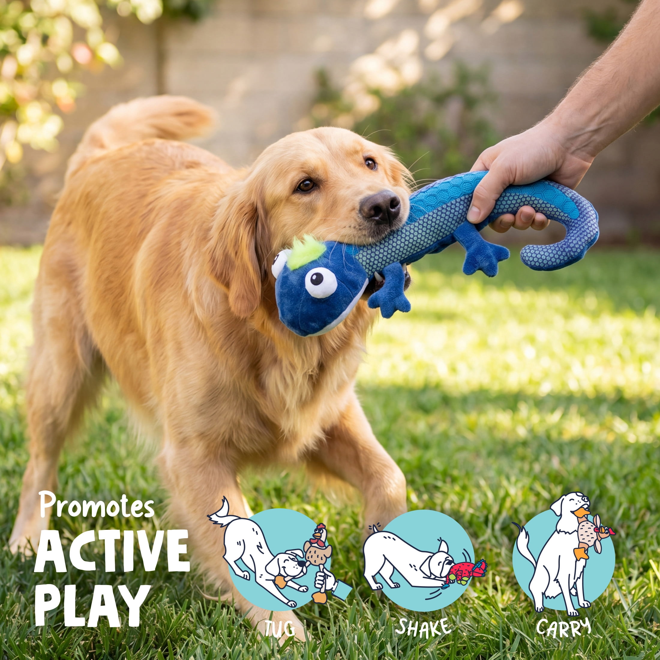 goDog Tough N Texture Carmen Chameleon Squeaky Dog Toy, Plush & Textured Silicone with Chew Guard Technology, Medium