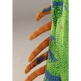 thumbnail image 3 of Kid's Iguana Costume, 3 of 6