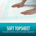 thumbnail image 5 of Assurance Premium Quilted Underpad, XL, 30 Ct, 5 of 5