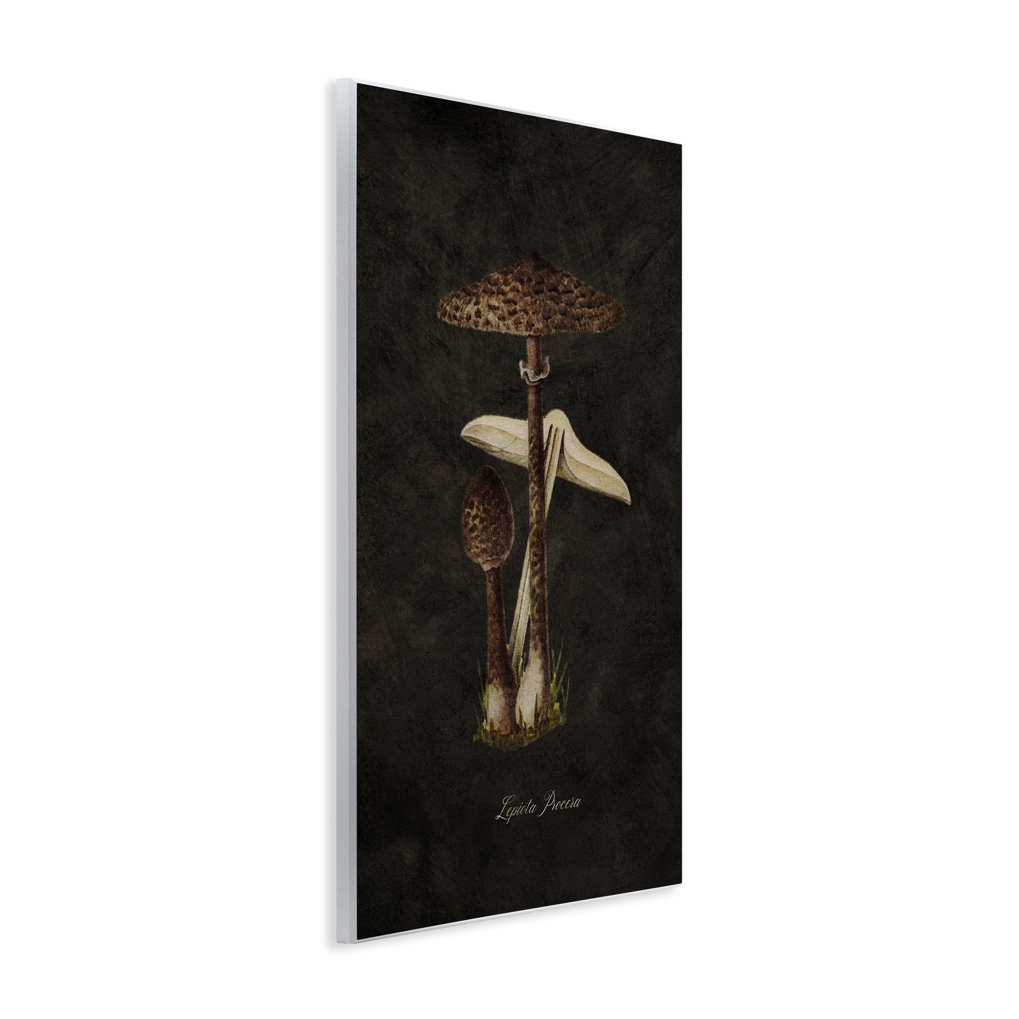 Stupell Industries Dark Woodland Mushroom Plants & Flowers Painting Unframed Art Print Wall Art, 10 x 15
