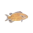thumbnail image 4 of Plato decorativo para baratija, bandeja de almacenamiento de escritorio, adorno de decoración de peces, cuenco de estético creativo, bandeja, 4 of 9