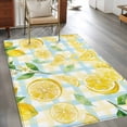 thumbnail image 2 of Watercolor Lemons Area Rugs 4'x6', Washable Small Throw Rugs for Office Bathroom, Summer Blue Yellow Buffalo Plaid Indoor Outdoor Rug Non-Slip Low Pile Carpet Runner Reversible Floor Mats, 2 of 8
