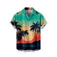 thumbnail image 1 of Camisas casuales de manga corta estilo hawaiano de moda de verano para hombres Pompotops  oipoqjl43973, 1 of 6