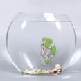 thumbnail image 3 of Acuario Pecera Piedras Flotantes Paisaje Musgo Decoración Ecológica, 3 of 7