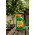 thumbnail image 4 of Miracle-Gro Shake 'N Feed Continuous Release Citrus, Avocado & Mango Plant Food 4.5 lb., 4 of 6