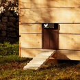 thumbnail image 2 of Nueva puerta automática para gallinero, puerta automática para gallinero con sensor de luz, impermeable, funciona con pilas, inducción (marrón), 2 of 5