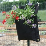 Hanging Wall Planter wall planters Hanging Wall Planter wall planters