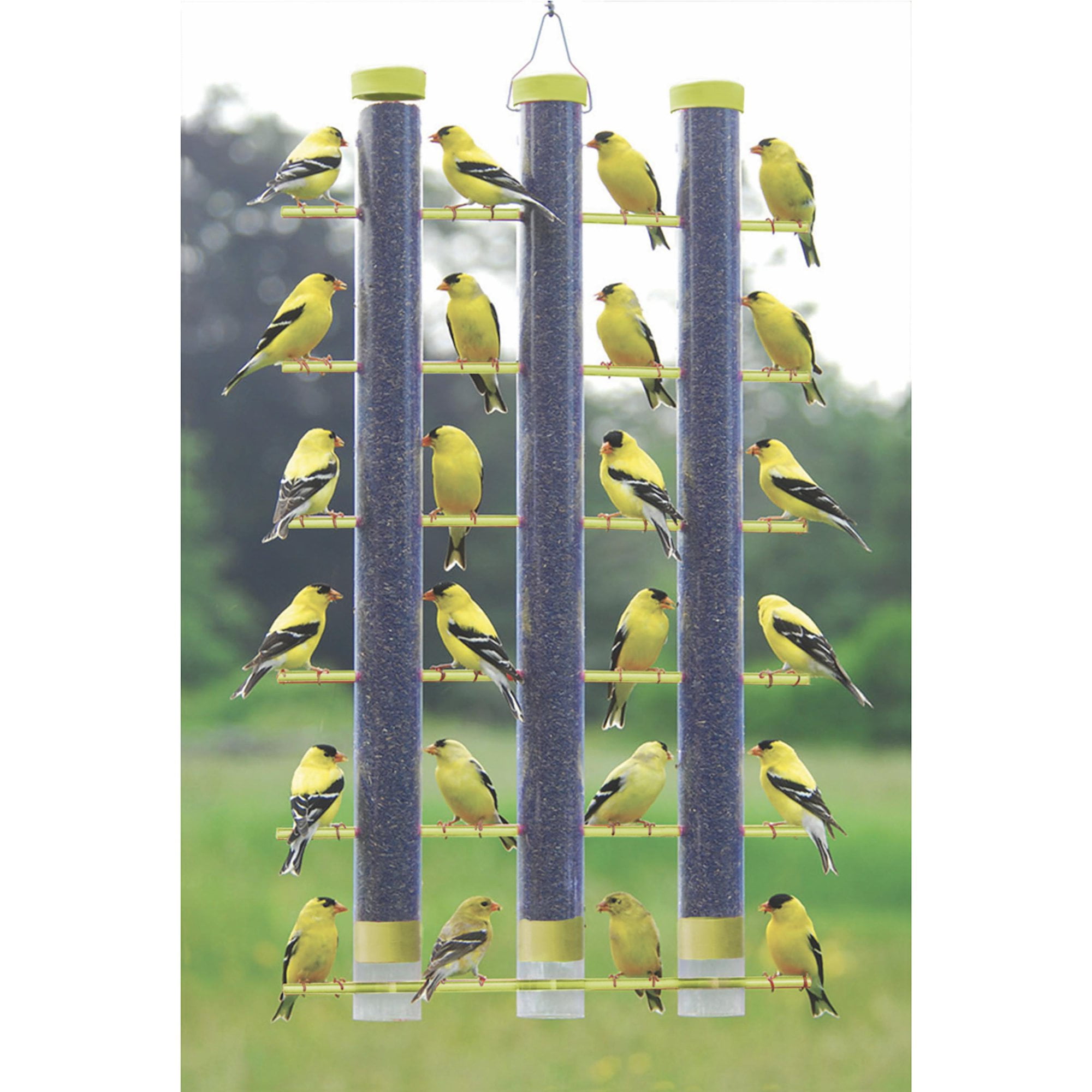 Songbird Essentials Bird Feeder Bird Seed Thistle Finch Feeder 3 Tube