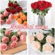 thumbnail image 3 of Ruifaya Rosas falsas, flores artificiales a granel, rosas de seda realistas con blanco falso, 3 of 7