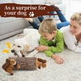 thumbnail image 2 of IFOYO Christmas Hide and Seek Dog Toys, Durable Interactive Squeak Puzzle Puppy Toys, Squirrel, 2 of 7