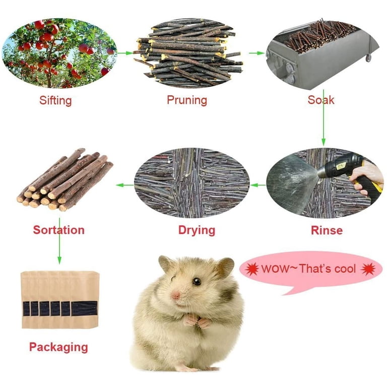Guinea Pig Chew Sticks