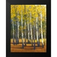 thumbnail image 2 of OToole, Tim 15x18 Black Modern Framed Museum Art Print Titled - Fall in Glory II, 2 of 5