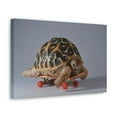 thumbnail image 2 of Funny Tortoise Silly Tortoise Inside Wall Art Ready to Hang Unframed, 2 of 18