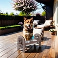 thumbnail image 4 of Noaman Adjustable Pet Bowl Travel Ready, 19x7x9.5in Collapsible HDPE Dog Bowl with 3 Height Settings, Durable Recycled Poly Lumber, Brown, 4 of 6