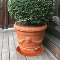 thumbnail image 2 of Plant Saucer 16 inch 17 inch (16.8"), 4 Pack Plastic Large Flower Planter Plant Pot Saucers and Drip Tray for Indoors Outdoors, Thick Heavy Sturdy Durable Plant Plate Water Catcher Terra Cotta, 2 of 7
