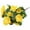 Yellow, variant on NCWSO Artificial Flowers for Decoration Dried Fake Flowers Plants Silk Begonia Bush – Artificial Flowers Outdoor Décor – Yellow, Yellow