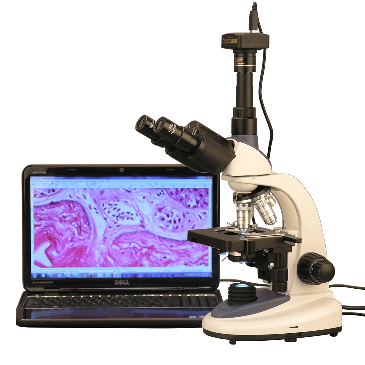 AmScope 40X2500X 1W LED Trinocular Compound Microscope with 10MP