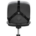 thumbnail image 3 of Fellowes Professional Series Back Support with Microban Protection, 3 of 3