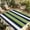 Green Dark Blue White, variant on Green Navy Blue Striped Outdoor Rug for Patio/Deck/Porch, Non-Slip Large Area Rug 5 x 7 Ft, Farmhouse Stripes Indoor Outdoor Rugs Washable Area Rugs, Reversible Camping Rug Carpet Runner