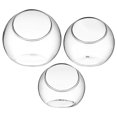 thumbnail image 4 of 3pcs Glass Terrarium Plant Terrarium Display Glass Tabletop Succulent Air Plant Planter, 4 of 8