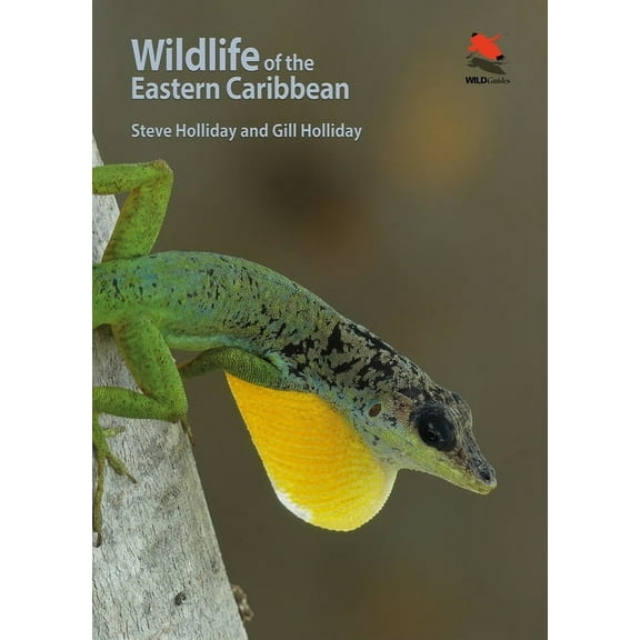 Wildlife of the Eastern Caribbean, (Paperback)