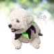 thumbnail image 5 of 2 piezas delicadas Hermosa mascota de halloween collar de cuello para la fiesta de mascotas Tamaño L (negro + verde + púrpura), 5 of 5