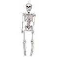 thumbnail image 3 of Sunstar Skeleton 20inches, 3 of 3