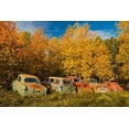 thumbnail image 2 of Jaynes Gallery 32x23 Gold Ornate Wood Framed with Double Matting Museum Art Print Titled - Canada-Manitoba-St Lupicin Vintage old vehicles in wrecking yard, 2 of 4