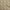 Dark Olive Green, variant on oneOone Polyester Spandex Blue Fabric Tropical Leaf Fabric For Sewing Printed Craft Fabric By The Yard 56 Inch Wide