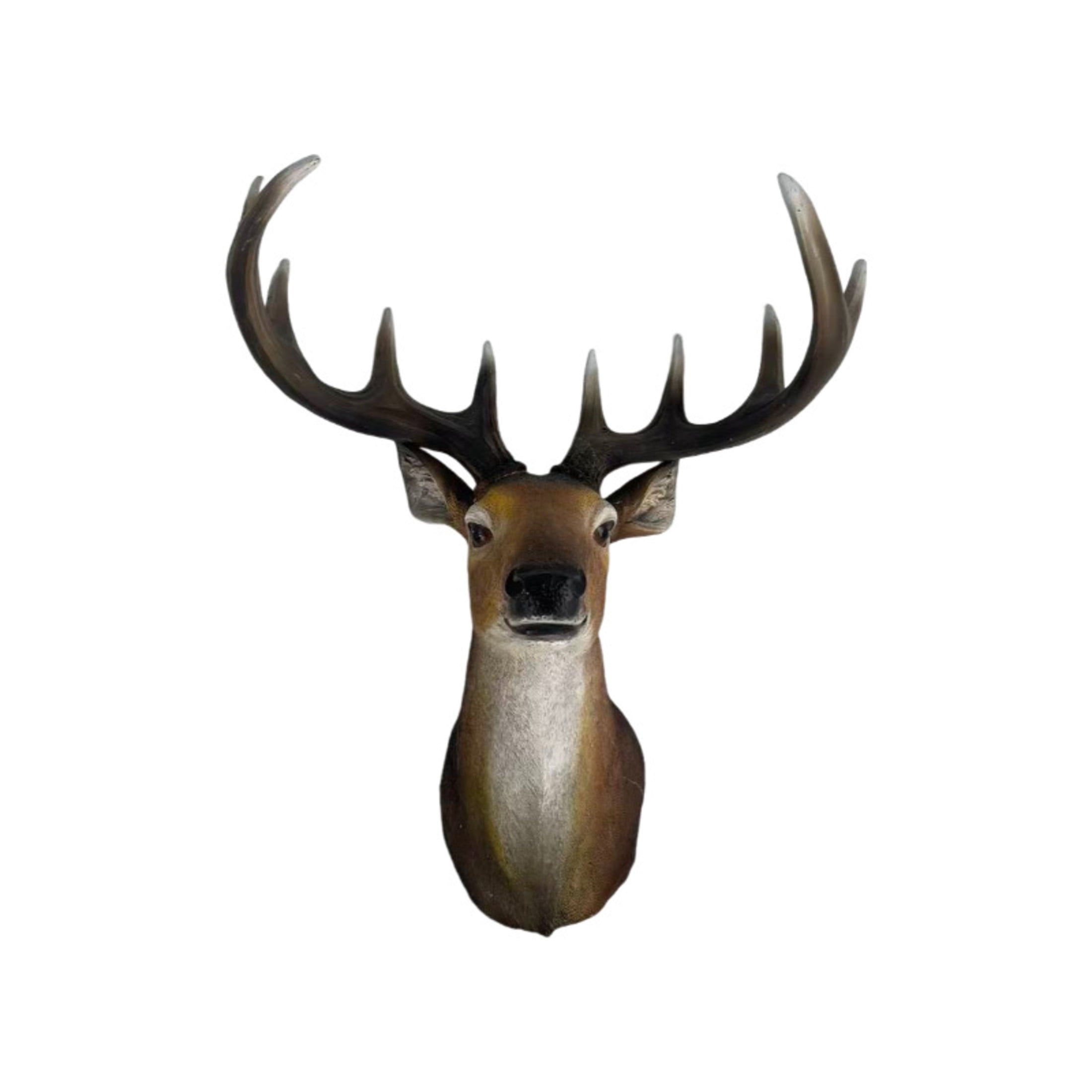 GDF Studio 14" Realistic Stag Head Wall Sculpture, Resin Deer Bust with Antlers Decor Gifts for Wildlife Lovers
