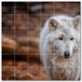 thumbnail image 1 of Picture-Tiles.com: Wolf Ceramic Tile Wall Mural WAL501242-66S. 25.5"W x 25.5"H using (36) 4.25" x 4.25" Ceramic Tiles-Satin Finish, 1 of 3