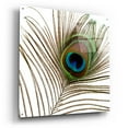 thumbnail image 2 of Epic Art 'Peacock Feather 01' by Tom Quartermaine, Acrylic Glass Wall Art, 36"x36", 2 of 8