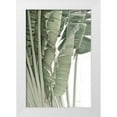 thumbnail image 1 of Murdock, Ramona 13x18 White Modern Wood Framed Museum Art Print Titled - Banana Branch IV, 1 of 4