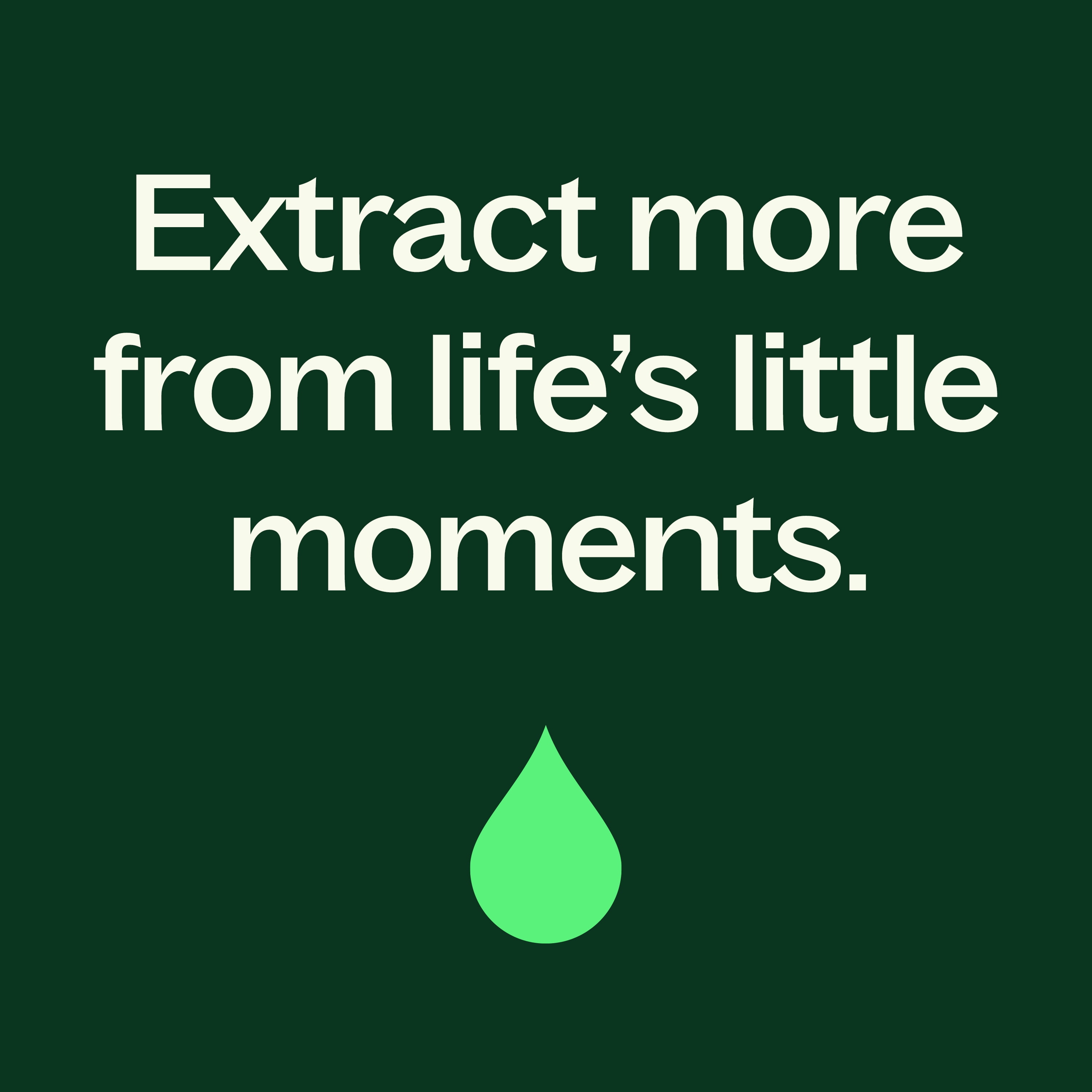 Plant Therapy Holiday Season Essential Oil Blend 30 mL (1 oz) 100% Pure, Undiluted, Natural Aromatherapy