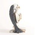 thumbnail image 3 of Clearance! Skull Decorations, Halloween Decorations, Black Winged Skulls, Suitable White, 3 of 8