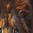 thumbnail image 4 of Fierce Lion Shower Curtain Waterproof Fabric with 12 Hooks Bathroom Decorative Bath Curtain Set Polyester Fabric Machine Washable 60 x 72 Inch, 4 of 6