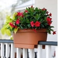 thumbnail image 2 of Bloem 24" Plastic Deck Rail Round Planter, 9" H, 24" L, 12" W, Fits Rail Sizes between 4.75" - 5.75" Wide, Terra Cotta, 2 of 8
