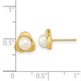 thumbnail image 3 of Auriga Fine Jewelry 14K Yellow Gold 5-6mm White Pearl Stud Earrings for Women(L- 8mm, W- 8mm), 3 of 5