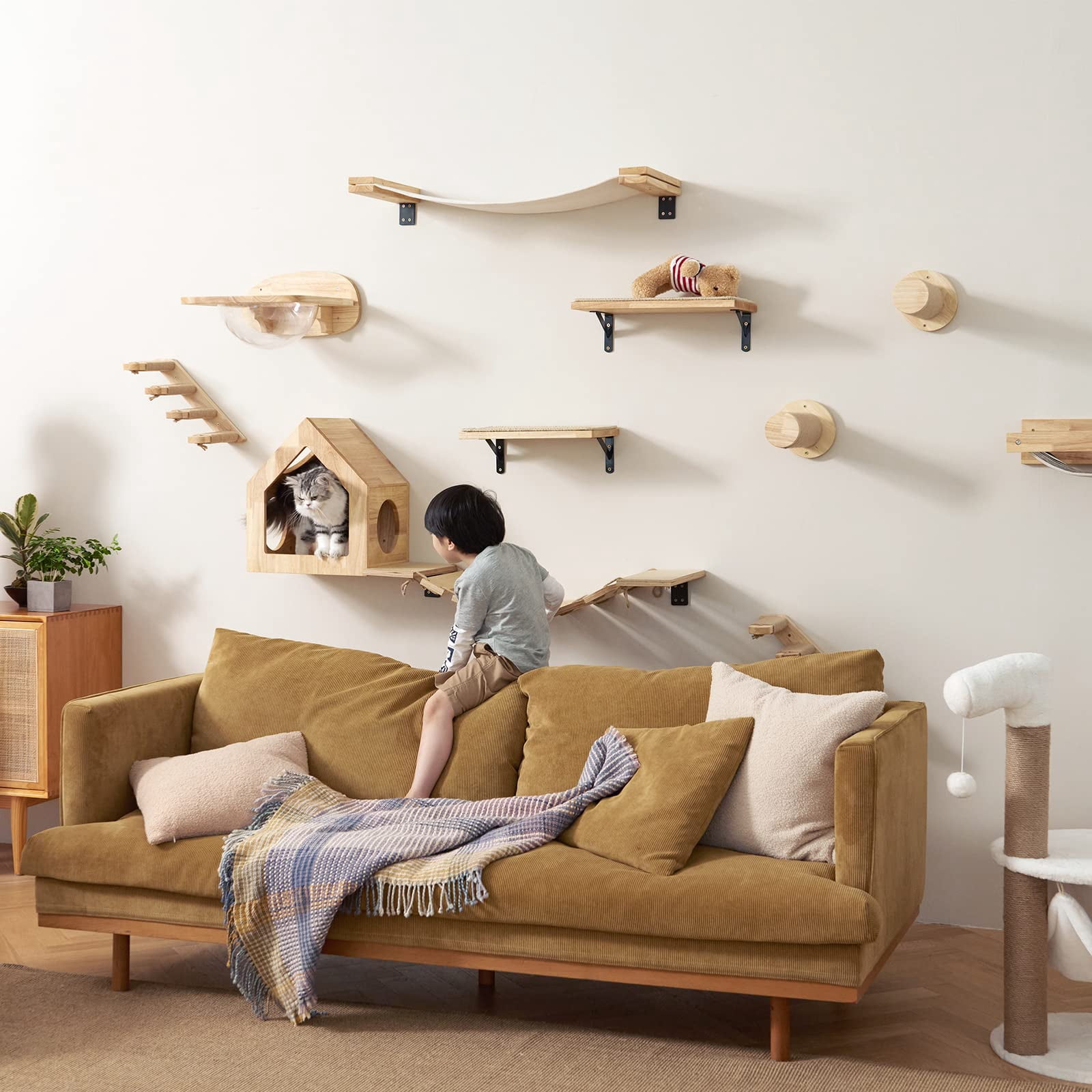 Cat Wall Perch Set With 2 Pedals, Transparent Capsule, For Sleeping Playing Climbing Lounging